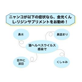 Kinko-kun L-Lysine for Cats, 100% Domestic Powder Type, 2.1 oz (60 g)