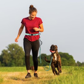 Mile High Life | Retractable Hands Free Dog 7FT Leash | Waist Running Adjustable | Reflective Dual Black Bungees | Dual Handles | Small Medium Large Dogs | (Teal)