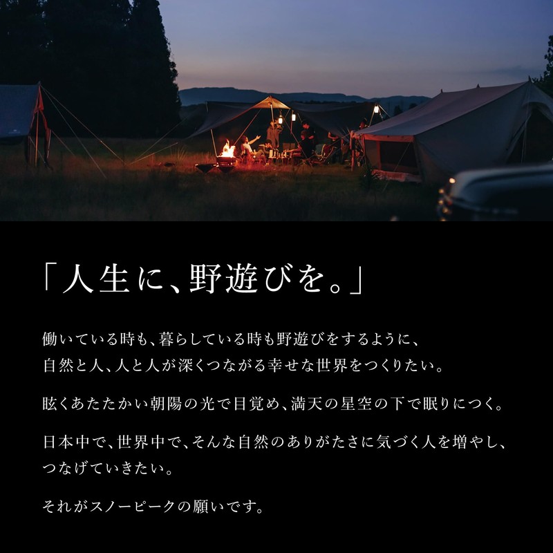 Snow Peak Titanium Fork & Spoon Set, Durable Utensils, Compact,