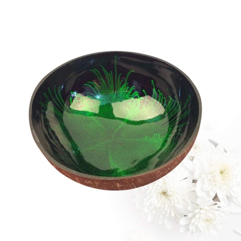 HEMOTON Coconut Bowls Natural Coconut Shell Bowl Decorative Key Storage