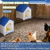 Chicken Nesting Box for Laying Eggs 1/2/3 Pack Large Easy