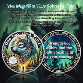 One Day at a Time 7 Year Sobriety Coin - Recovery Triangle Forest Wolf AA Coins - Addiction NA AA Chips and Medallions - Celebrate 1-20 Living Clean Narcotics Alcoholics Anonymous Gifts for Men Women