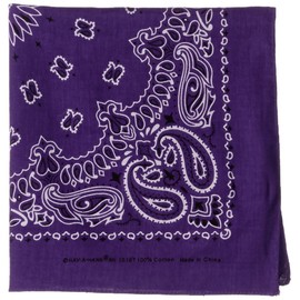 Carolina Have, A, Hank Paisley Bandannas, 22-Inch by 22-Inch, Purple