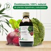Lacticol Probioticos Mujer y Hombre - Elaborado con Ingredientes Naturales