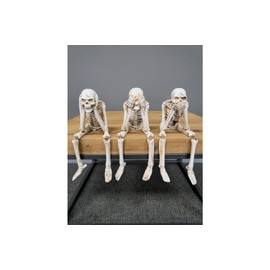 Venture Vehicles Ltd 3 Wise Skeletons | Gothic Decor | See No, Hear No, Speak No