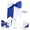Two Tone Jumbo Bow Clip with Tails (Blue & White)
