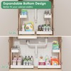 REALINN Expandable Under Sink Organizers and Storage, 2 Tier Under