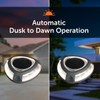 Step Light with Motion Sensor, Set of 4 Driveway Lights,