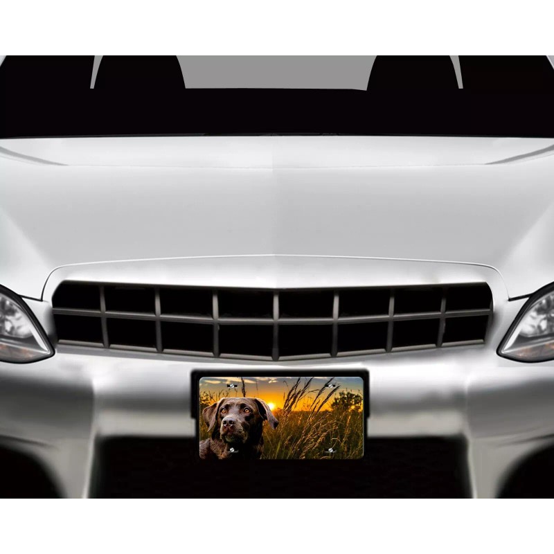 Twisted R Design Chocolate Lab Labrador Dog Vanity Aluminum Front