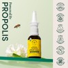 Beekeeper's Naturals Propolis Nasal Rinse Spray Max, Relief for Adults