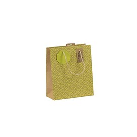 Clairefontaine 30675-3C Gift Bag Size M 21.5 x 10.2 x 25.3 cm Ideal for Books and Games Pack of 1 Neon