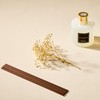 COCORRÍNA Reed Diffuser - Black Forest 17 Fl.oz Reed Diffuser