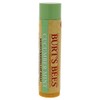 Burt's Bees Cucumber Mint Moisturizing Lip Balm for Women, Orange,