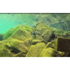 QualyQualy Squirm Fishing Lure for Freshwater and Saltwater Lifelike Fishing Lures 3.95 INCH Soft Plastic Swimbait for Bass Pike Trout