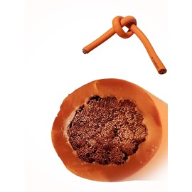 AC DC WIRE & SUPPLY #2 AWG Gauge Battery Cable Pure Copper Orange Flex Whip Power Wire Welding Cable Made in USA (10 FT)