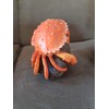 Red Crab Sitting On Coconuts - Nautical Decor - Beach