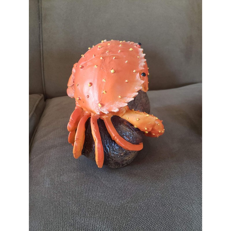 Red Crab Sitting On Coconuts - Nautical Decor - Beach