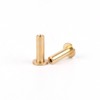 HNMFIT Golf 0.335'' Brass Tip Plug Weights for Graphite Shaft
