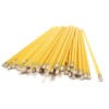 BRAY GROUP LIMITED Silver Nitrate Sticks 6" Caustic Applicator 100/Tube