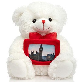 HollyHOME Teddy Bear Stuffed Animal Plush Bear with Red Bow Holding a Picture Frame Soft Plush Toy Holiday Toy Gift 12 Inches White