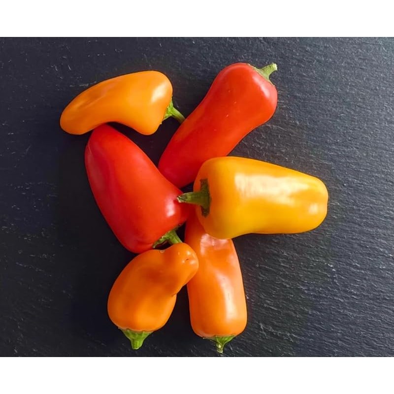 Lunchbox Sweet Snacking Pepper Seeds Mini Pepper Red Lunch Box