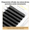 Nagaraku Extensiones De Pestañas 8d W Shape