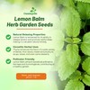 Outsidepride Lemon Bee Balm Seeds - 5,000 Perennial, Easy to