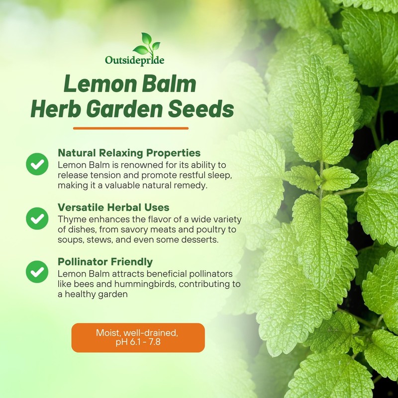 Outsidepride Lemon Bee Balm Seeds - 5,000 Perennial, Easy to