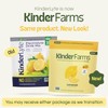 Kinderlyte Electrolyte Powder for Kids and Adults - Drink Mix