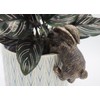 Rabbit Pot Buddies Plant Pot Hanger