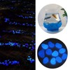 Pack of 300 Luminous Stones Garden in the Dark, Fluorescent