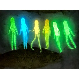 Pack N' Fish 90-1.5" GLOW Mayzer Bug Fishing Jigs Crappie Perch Trout Ice Plastic Lures Baits