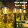 DERAYSION Solar Lights Outdoor 6 Pack, Stainless Steel Glass Solar