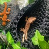 HyzaPhix Hammock Reptile Accessories, Terrarium Accessories Gecko, Reptile Decoration for