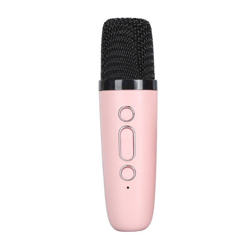 Portable Karaoke Machine LED Dynamic Light Small Bluetooth Speaker with