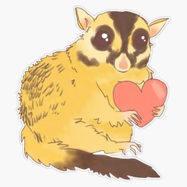 Sugar Glider Holding Heart Sticker Bumper Sticker Vinyl Decal 5"
