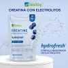 Wellthy Creatine + Electrolytes Blue Berry 350g