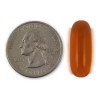 Omega -3 Pure Alaska 1000 mg C/ 210 cápsulas -