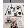 DIY Performance ProLine Race Valve Kit PLUS for Predator 224cc Max