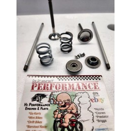 DIY Performance ProLine Race Valve Kit PLUS for Predator 224cc Max