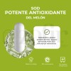 Glisodin Advanced Pure Sod 60 Caps