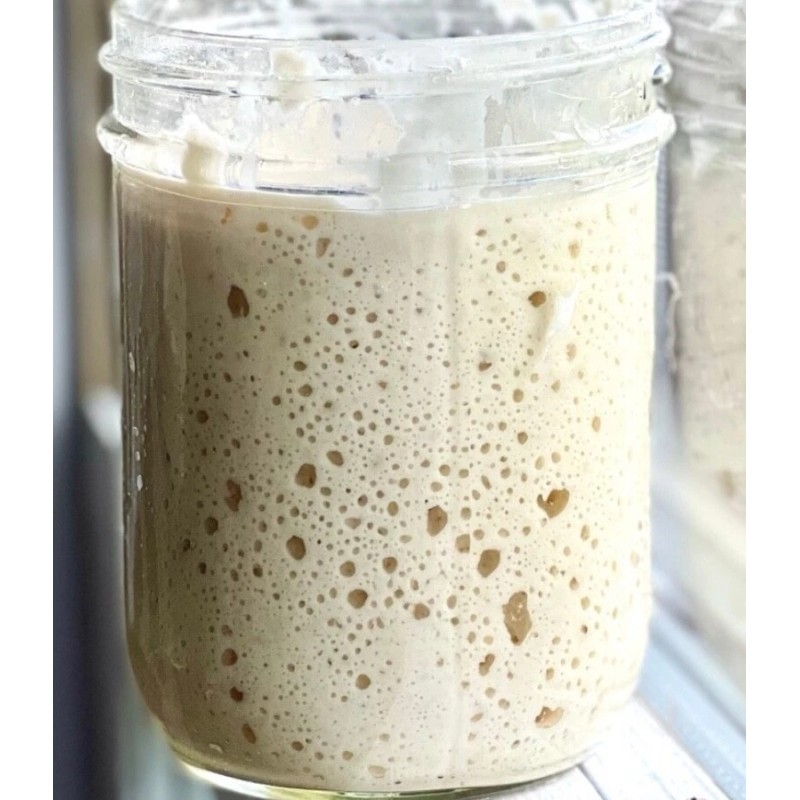 Great Grandmas EASY Sourdough Starter Heritage San Francisco - Live