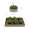 12 Velas de Cactus,Velas de té de Cactus, Decorativo Hecho