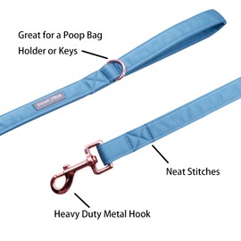 Lionet Paws Dog Leash - Silk Blue Leash for Small Medium Large Dogs Matching Collar for Girl and Boy(Leash-XS (Pack of 1))