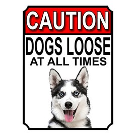 CAUTION DOGS LOOSE AT ALL TIMES METAL GATE SIGN SIBERIAN HUSKY 200MM X 150MM (1221H1)