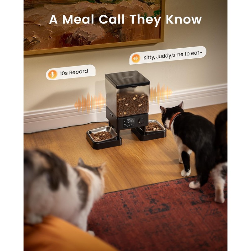 oneisall Automatic Cat Feeder for 2 Cats, 20 Cups/5L Automatic