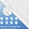 116130 Replacement Filter H Compatible with Winix 5500-2 Air Purifier