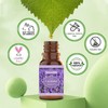 SALKING Floral Essential Oils Set, Premium Pure and Natural Essential Oils,