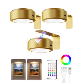 EZVALO Picture Lights for Wall, 2000mAh Rechargeable Battery Magnetic Poster Lights with 2 Color Temps & 12 RGB, Remote Dimmable Timer Painting Light, Wall Decor Light for Art Display, Frame (3 Pack)