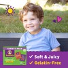 Annie's Organic Bunny Fruit Snacks, Variety Pack, Gluten Free Snack,